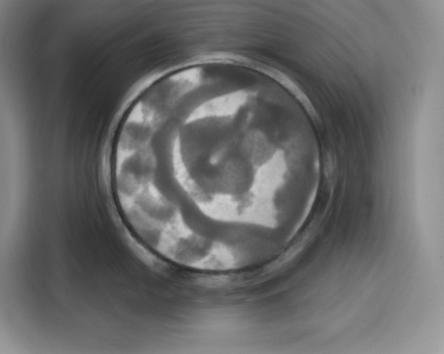 X0000115091054200911241209