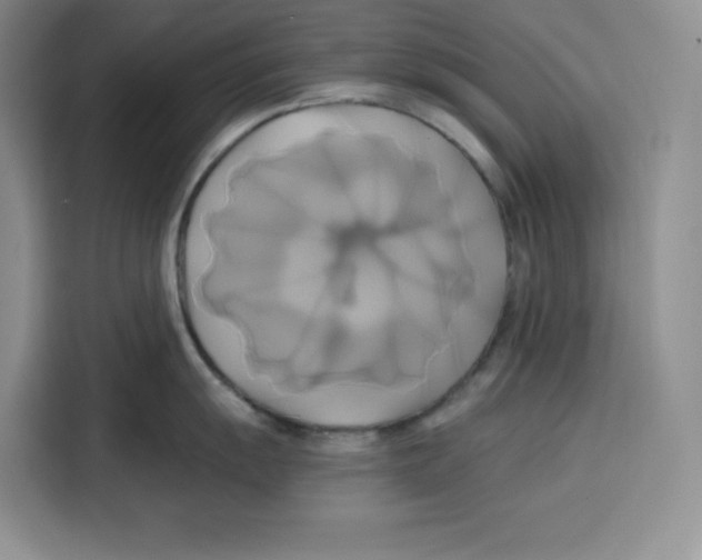 X0000115091055200911241209
