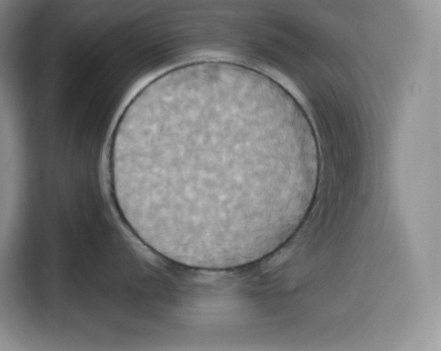 X0000115091056200911241209