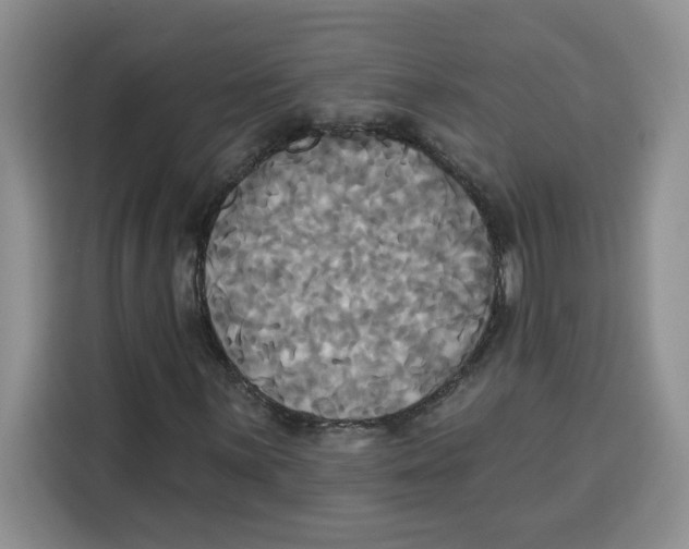 X0000115091059200911241209