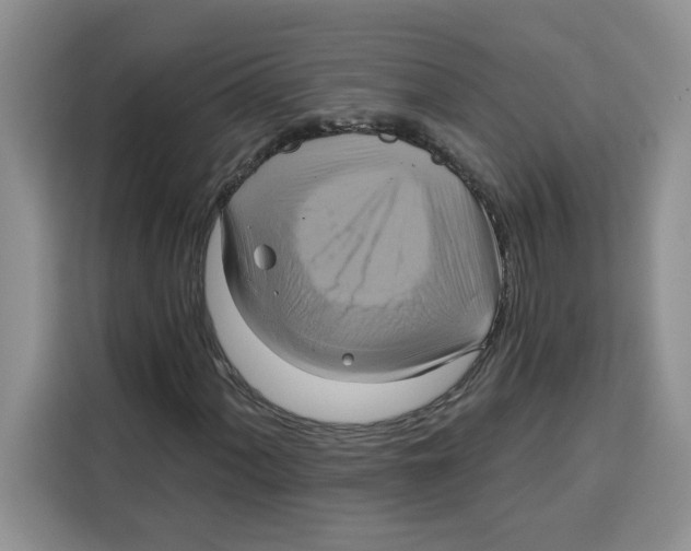X0000115091060200911241209
