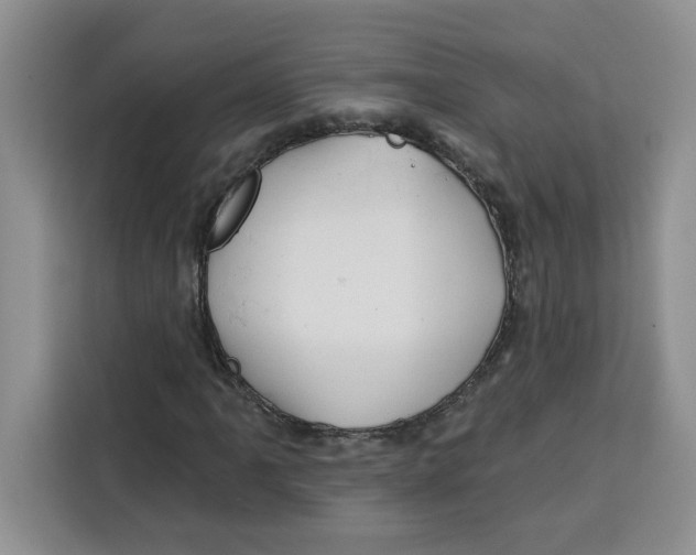 X0000115091061200911241209