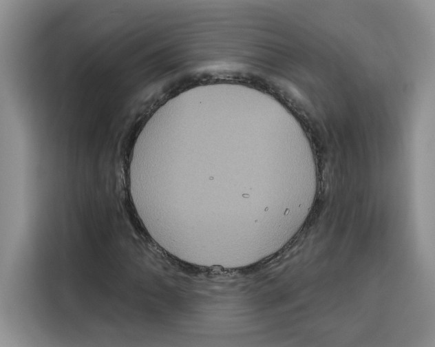 X0000115091062200911241209