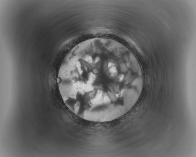 X0000115091063200911241209