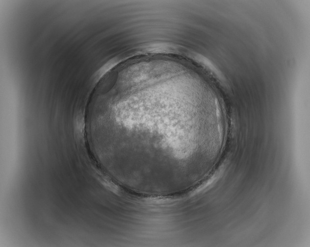 X0000115091065200911241209