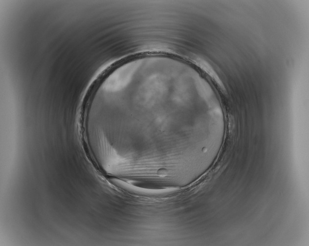 X0000115091068200911241209