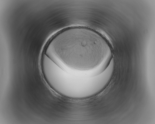 X0000115091072200911241209