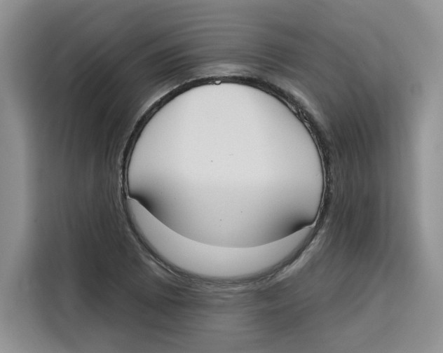 X0000115091073200911241209