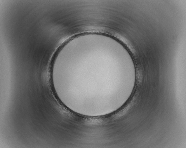 X0000115091074200911241209