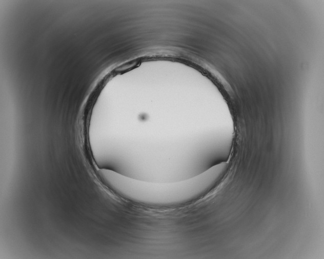 X0000115091075200911241209