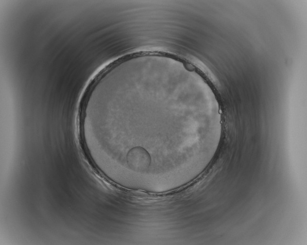X0000115091076200911241209