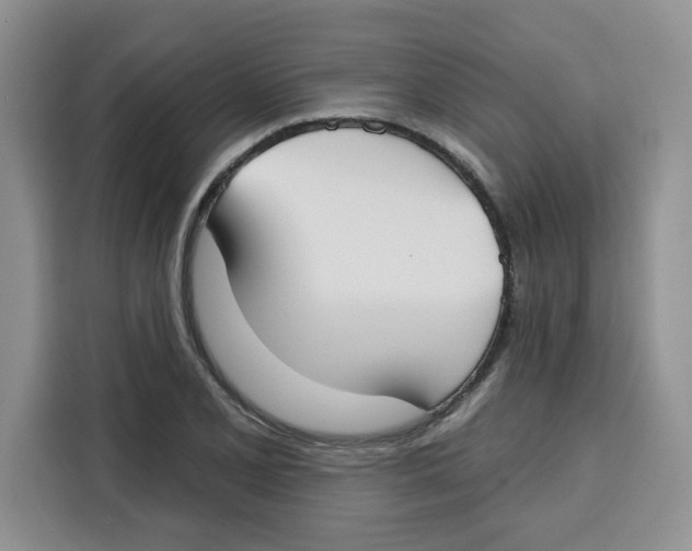 X0000115091077200911241209