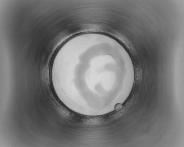 X0000115091078200911241209