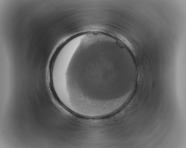 X0000115091080200911241209