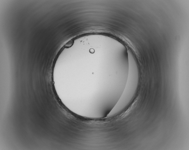X0000115091081200911241209