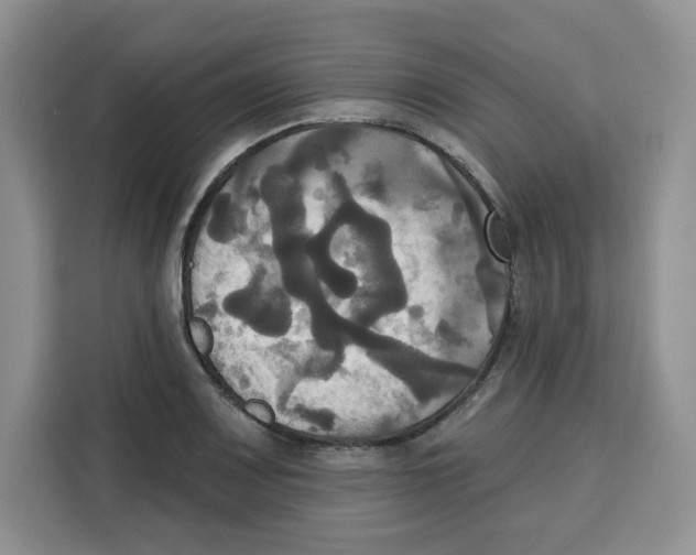 X0000115091083200911241208