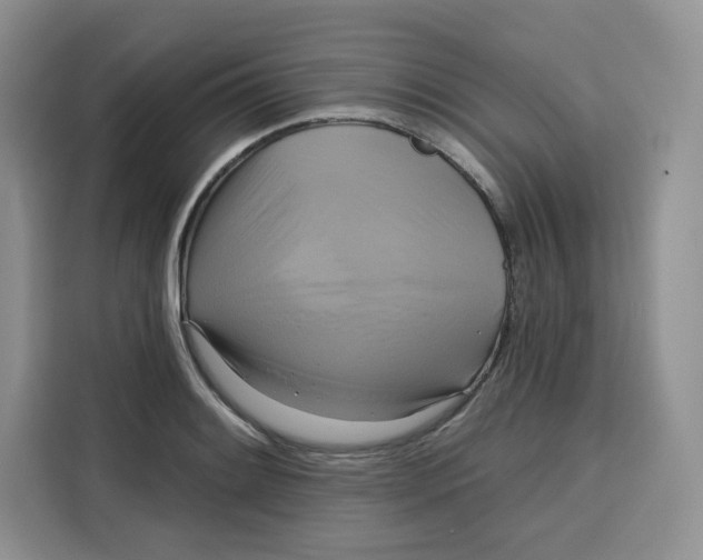 X0000115091084200911241208