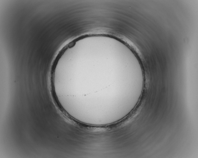 X0000115091085200911241208
