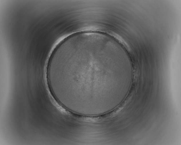 X0000115091086200911241208