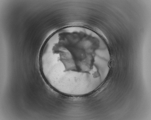 X0000115091087200911241208