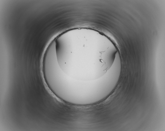 X0000115091088200911241208