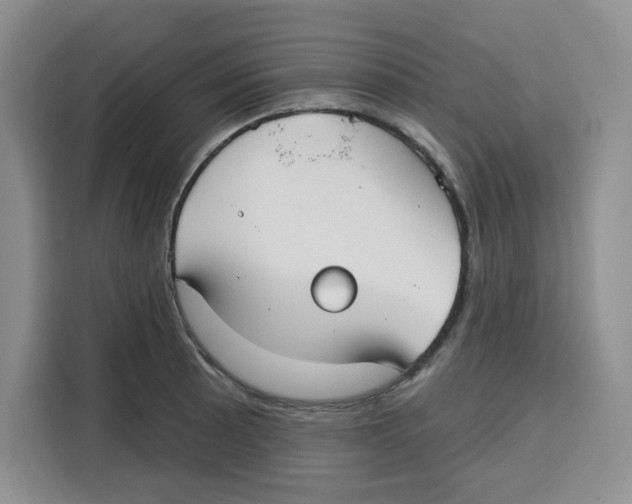 X0000115091089200911241208