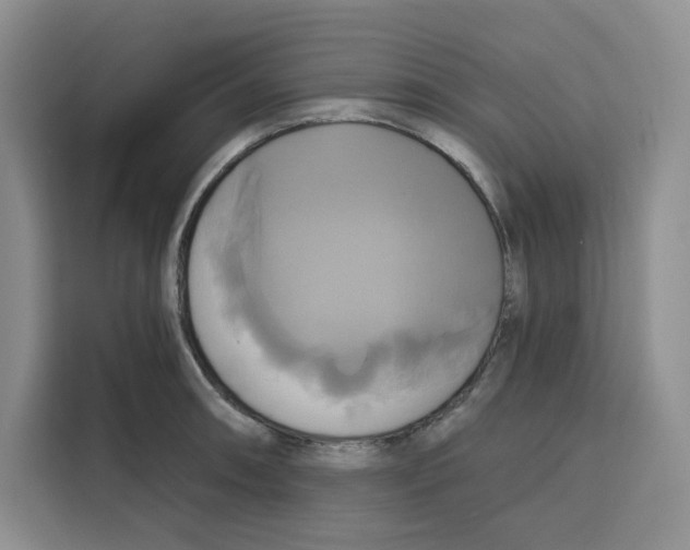X0000115091090200911241208