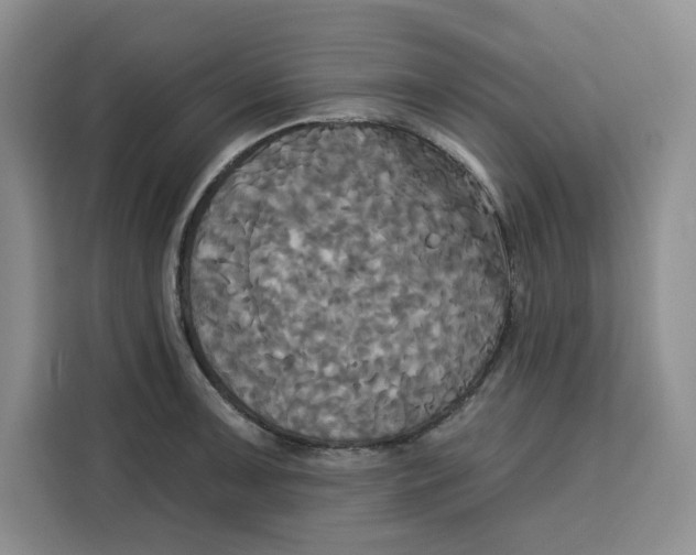 X0000115091091200911241208