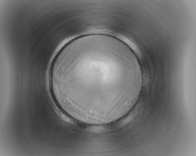 X0000115091094200911241208