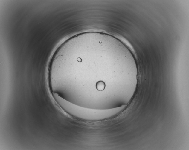 X0000115091096200911241208