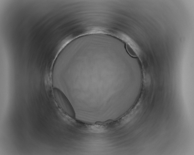 X0000115091097200911241208