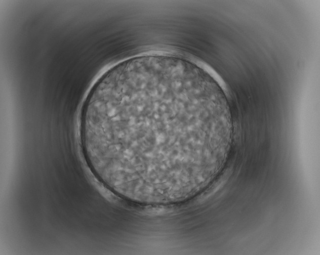 X0000115091099200911241208