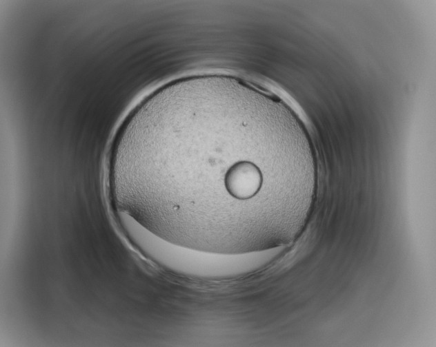 X0000115091101200911241208