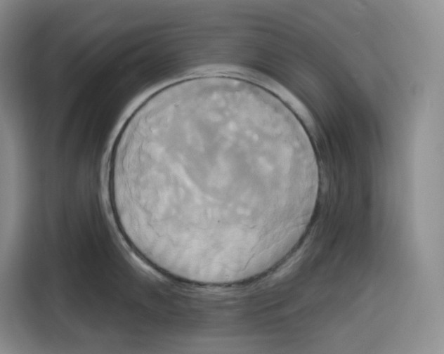 X0000115091102200911241208