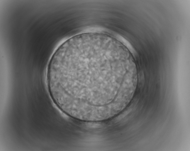 X0000115091103200911241208