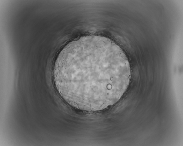 X0000115091105200911241208