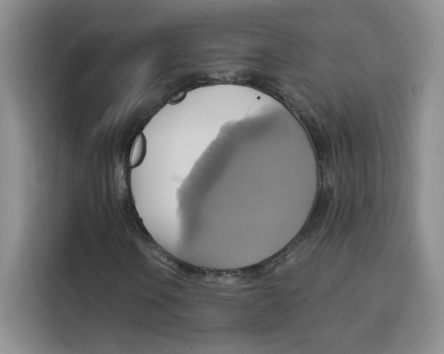X0000115091106200911241208