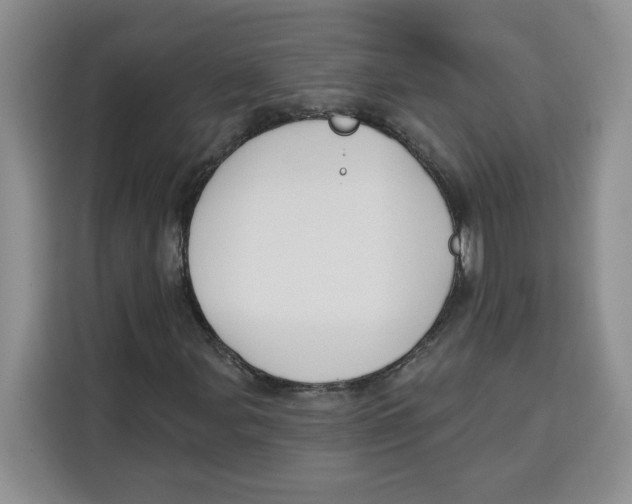 X0000115091107200911241208