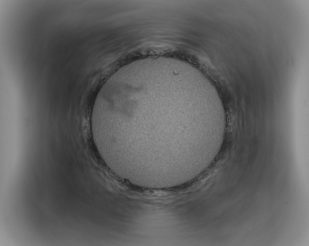 X0000115091109200911241208