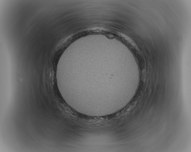 X0000115091111200911241208