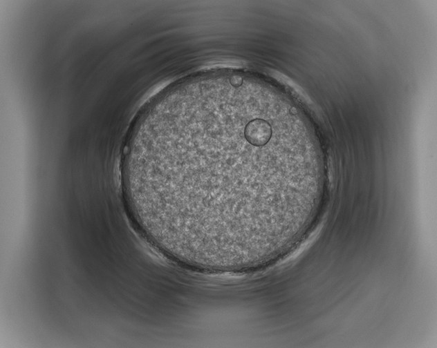 X0000115091113200911241208