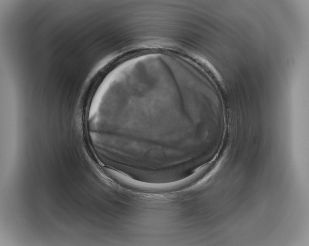 X0000115091114200911241208