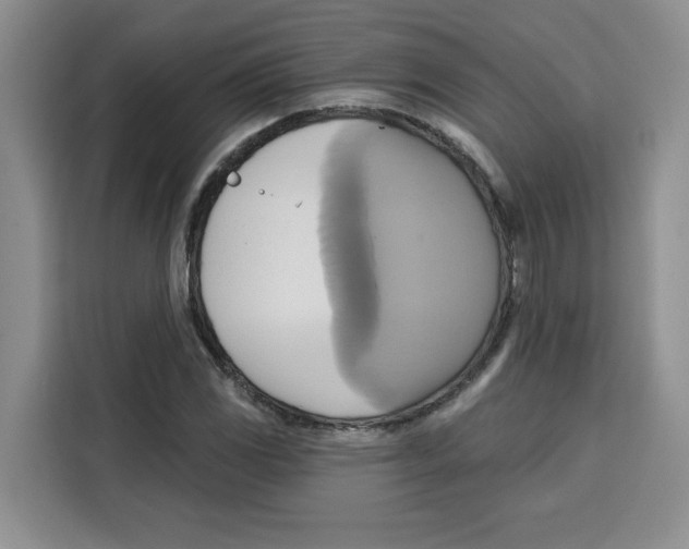 X0000115091117200911241208