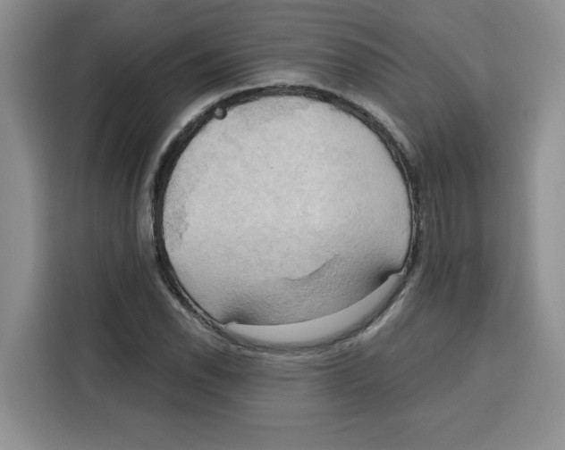 X0000115091118200911241208