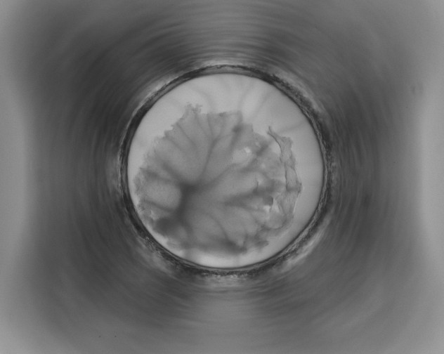 X0000115091121200911241208