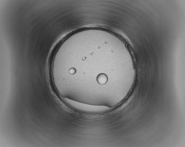X0000115091122200911241208