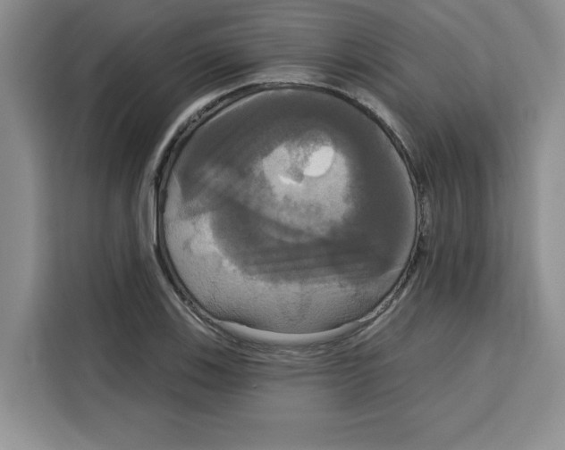 X0000115091123200911241208