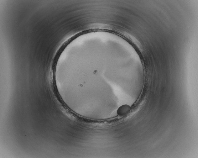 X0000115091125200911241208
