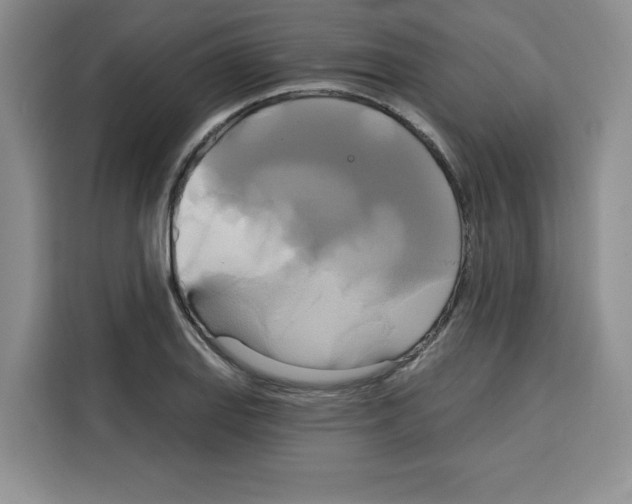 X0000115091127200911241208