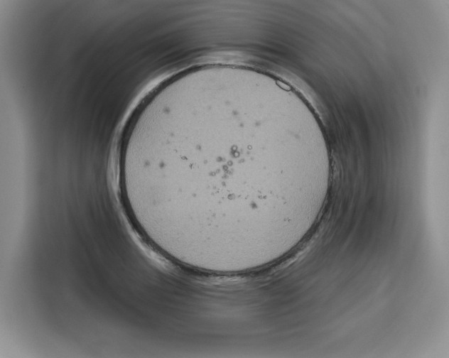 X0000115091131200911241208